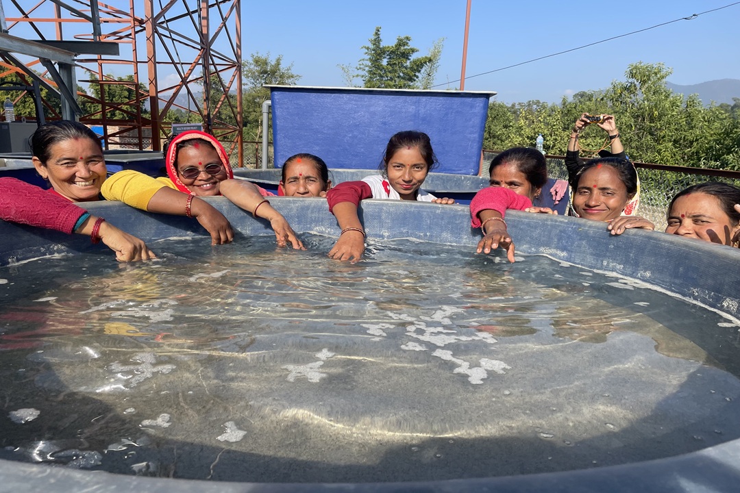 Health Reform Project I