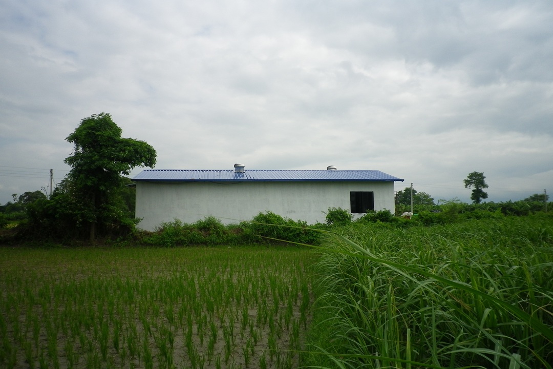 Fibre Factory Project